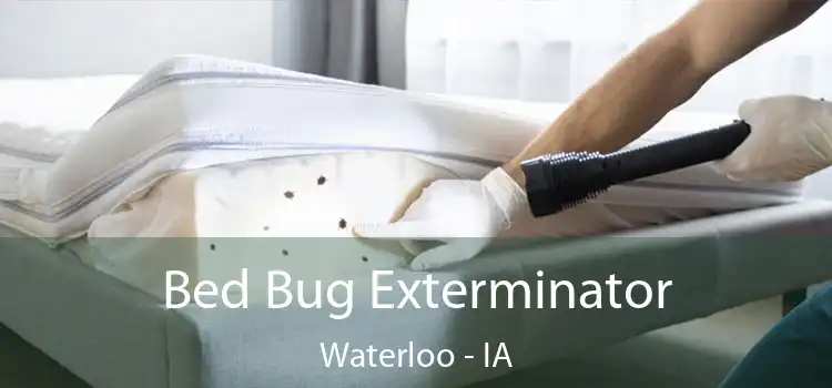  Bed Bug Exterminator Waterloo - IA