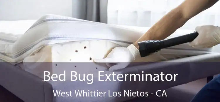  Bed Bug Exterminator West Whittier Los Nietos - CA