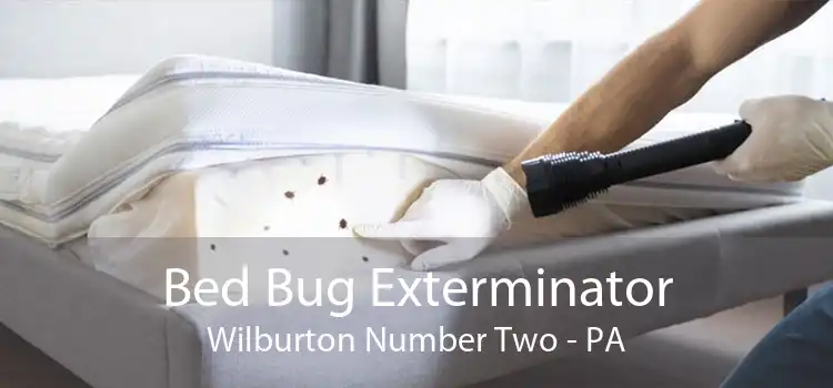 Bed Bug Exterminator Wilburton Number Two - PA