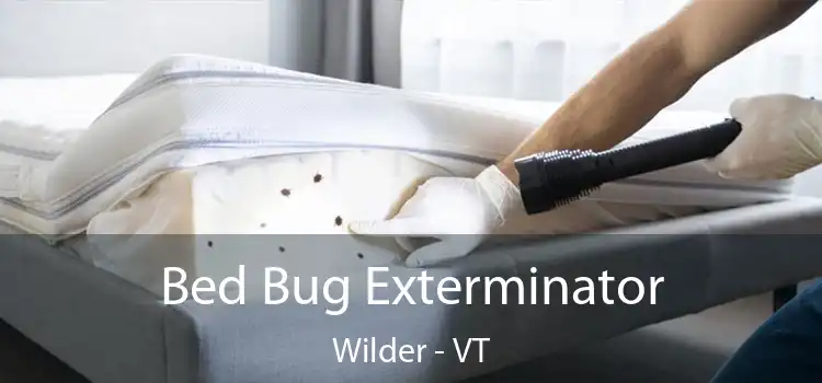  Bed Bug Exterminator Wilder - VT