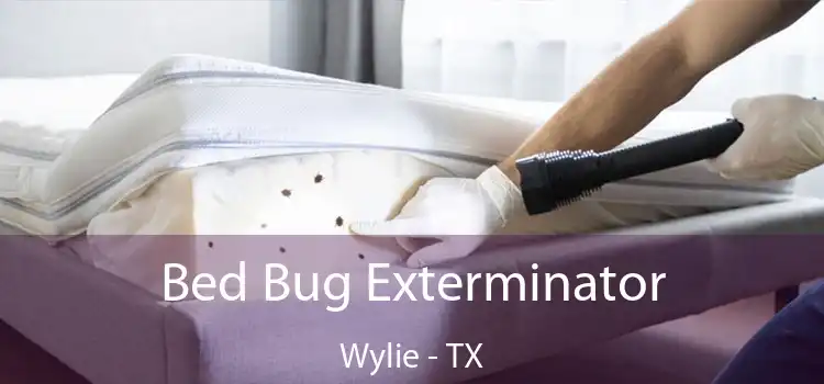  Bed Bug Exterminator Wylie - TX