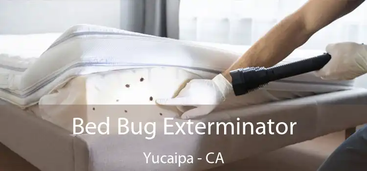  Bed Bug Exterminator Yucaipa - CA