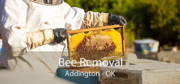 Bee Removal Addington - OK