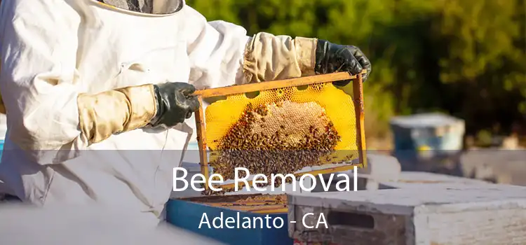 Bee Removal Adelanto - CA