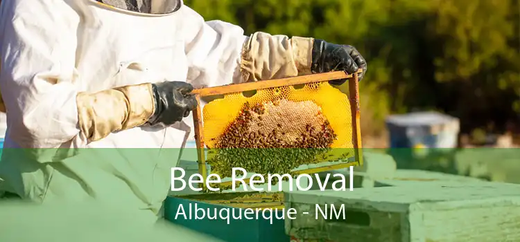 Bee Removal Albuquerque - NM