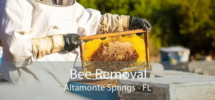 Bee Removal Altamonte Springs - FL