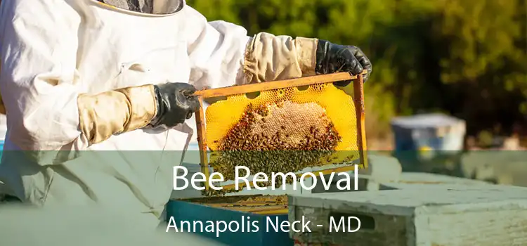  Bee Removal Annapolis Neck - MD