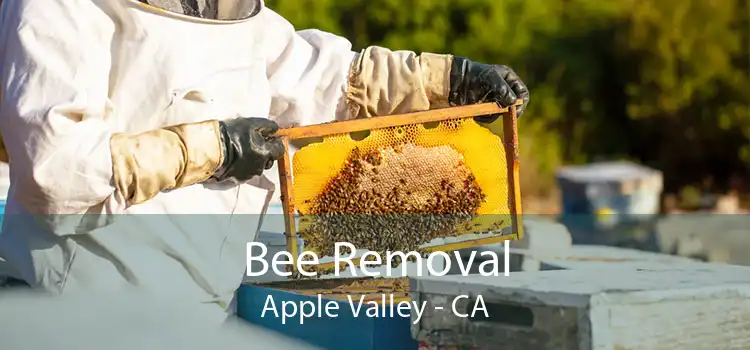 Bee Removal Apple Valley - CA