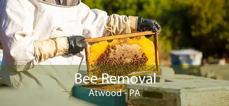 Bee Removal Atwood - PA