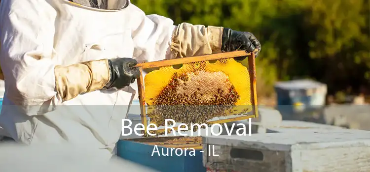 Bee Removal Aurora - IL