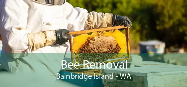 Bee Removal Bainbridge Island - WA