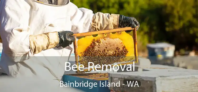  Bee Removal Bainbridge Island - WA