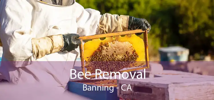 Bee Removal Banning - CA