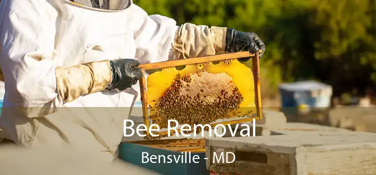  Bee Removal Bensville - MD