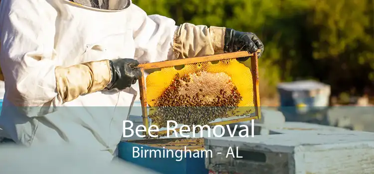 Bee Removal Birmingham - AL