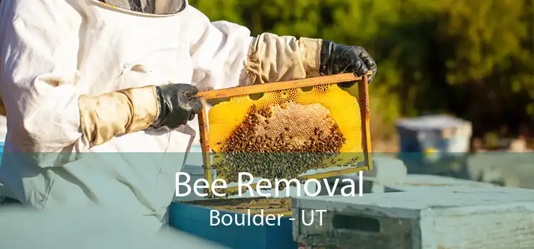Bee Removal Boulder - UT