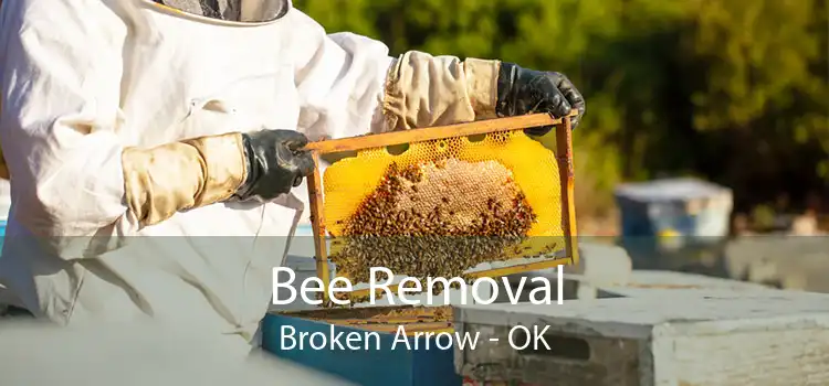 Bee Removal Broken Arrow - OK