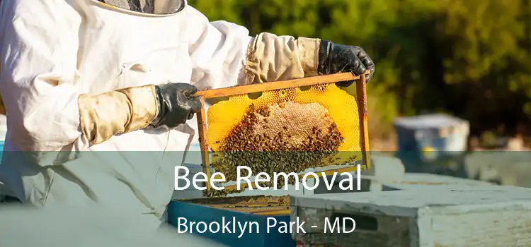  Bee Removal Brooklyn Park - MD