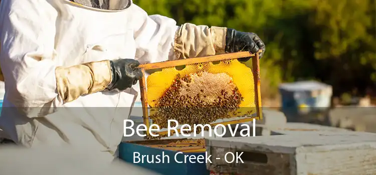  Bee Removal Brush Creek - OK