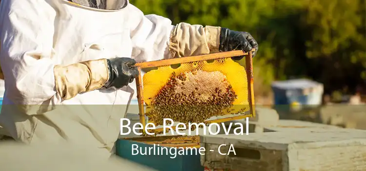Bee Removal Burlingame - CA