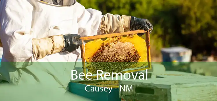 Bee Removal Causey - NM