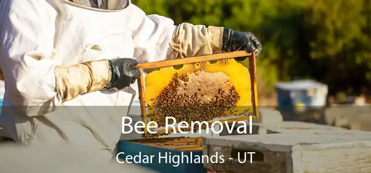  Bee Removal Cedar Highlands - UT
