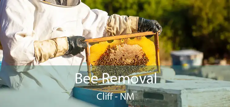 Bee Removal Cliff - NM