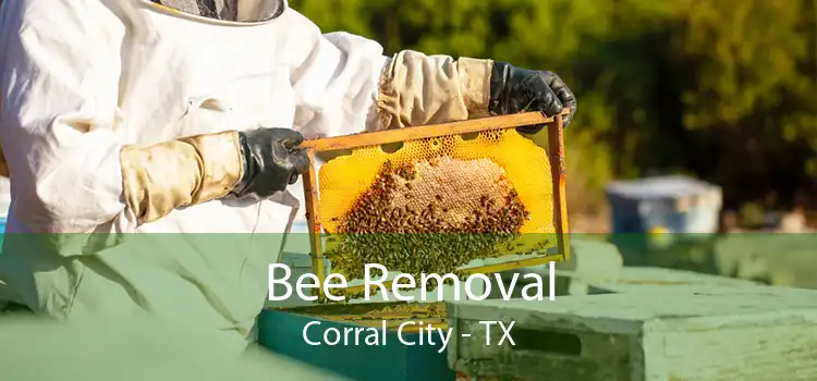 Bee Removal Corral City - TX