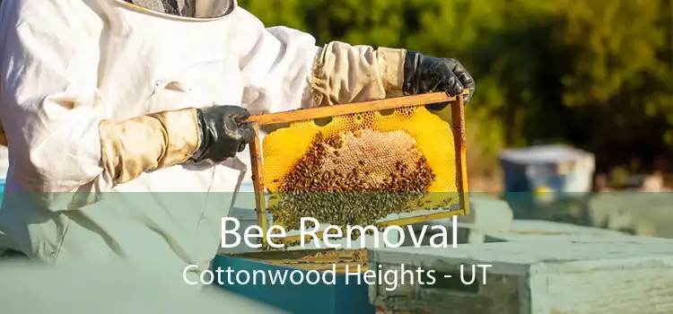 Bee Removal Cottonwood Heights - UT