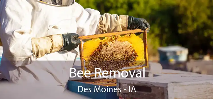 Bee Removal Des Moines - IA