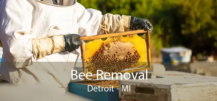 Bee Removal Detroit - MI