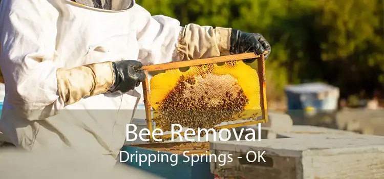 Bee Removal Dripping Springs - OK