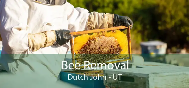 Bee Removal Dutch John - UT