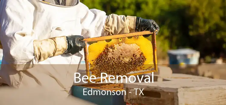 Bee Removal Edmonson - TX