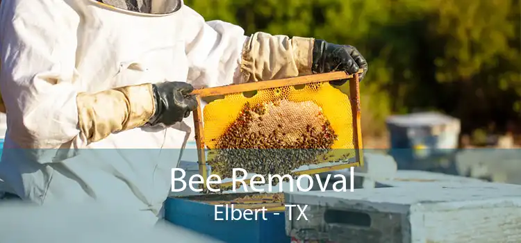 Bee Removal Elbert - TX