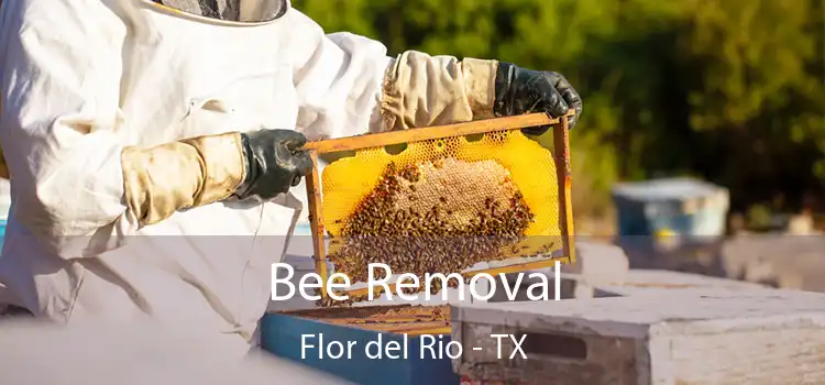  Bee Removal Flor del Rio - TX
