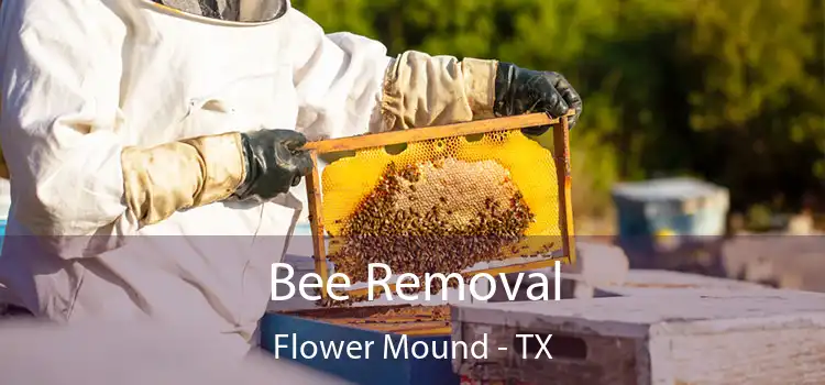  Bee Removal Flower Mound - TX