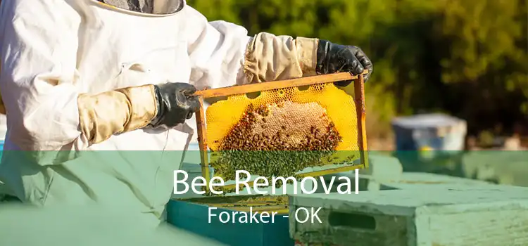 Bee Removal Foraker - OK