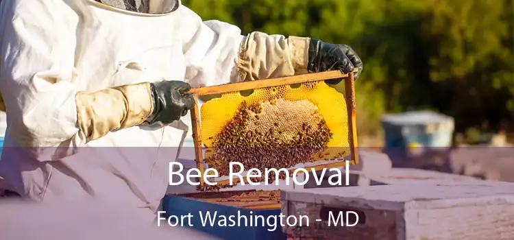  Bee Removal Fort Washington - MD