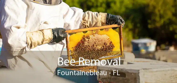 Bee Removal Fountainebleau - FL