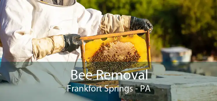 Bee Removal Frankfort Springs - PA
