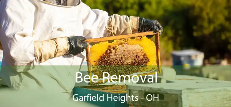 Bee Removal Garfield Heights - OH