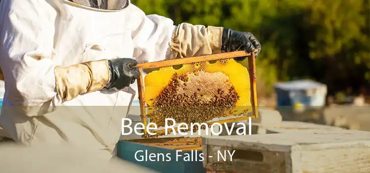  Bee Removal Glens Falls - NY