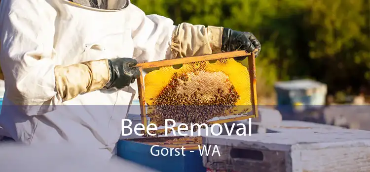 Bee Removal Gorst - WA
