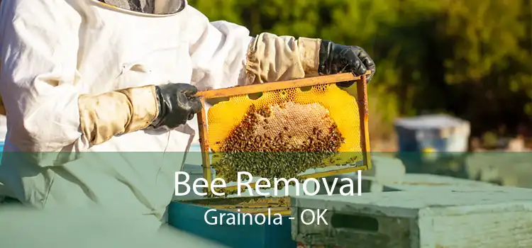 Bee Removal Grainola - OK