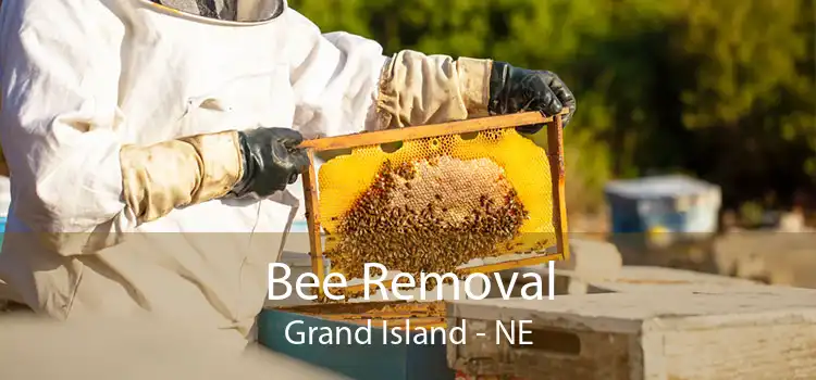 Bee Removal Grand Island - NE