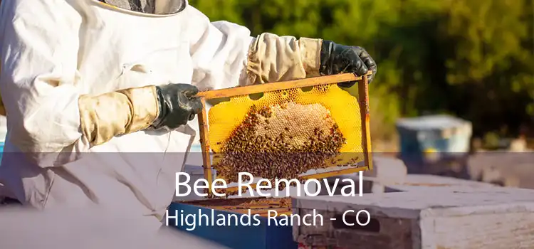 Bee Removal Highlands Ranch - CO