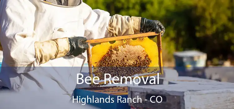  Bee Removal Highlands Ranch - CO