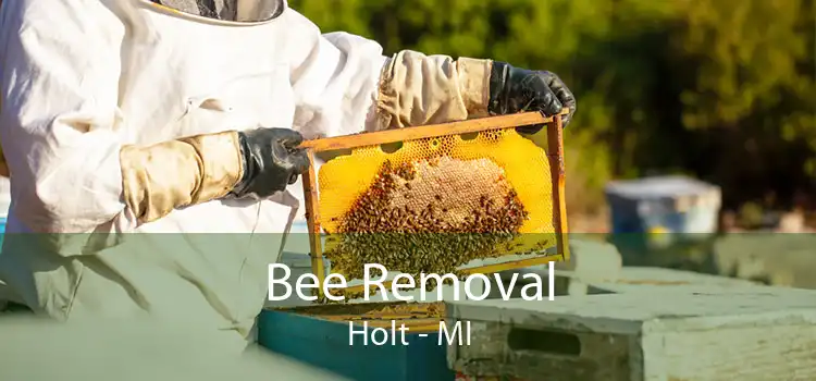 Bee Removal Holt - MI