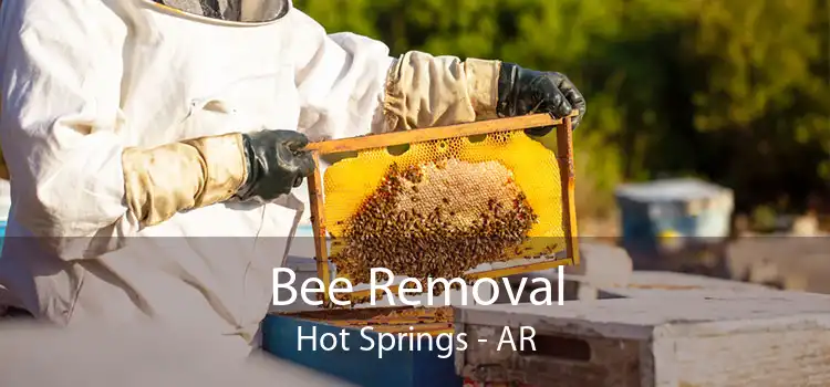 Bee Removal Hot Springs - AR